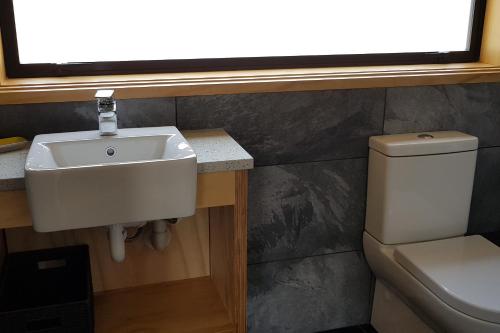 a bathroom with a sink and a toilet at The Rest in Twizel