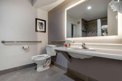 a bathroom with a toilet and a sink and a mirror at Econo Lodge At The University in Conway