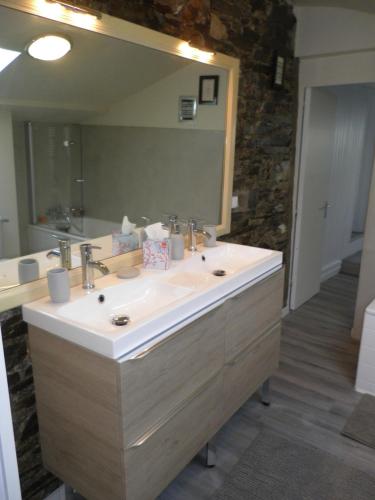 uma casa de banho com um lavatório e um espelho grande em Au Clos de Launay Chambres d’Hôtes em Le Cellier