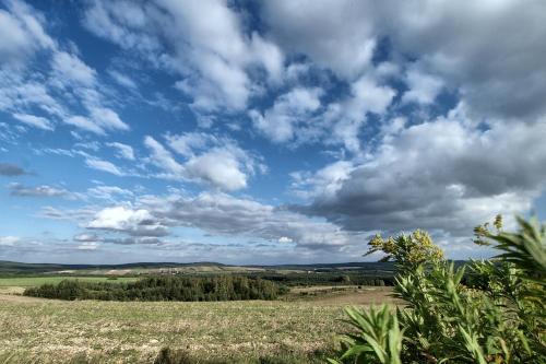a large open field with a blue sky with clouds at Hotel Fajkier in Kroczyce