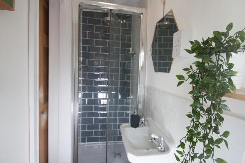 a bathroom with a sink and a shower with a plant at St Elmo House in Dartmouth