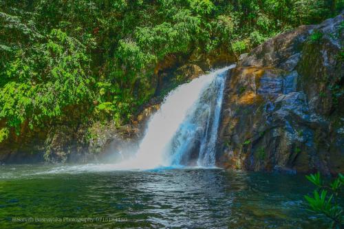 a waterfall in the middle of a pool of water at Rainforest Holiday Inn in Deniyaya