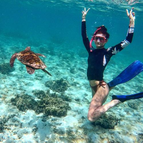 a person standing in the water with a turtle at Blue Water Thoddoo Inn in Thoddoo