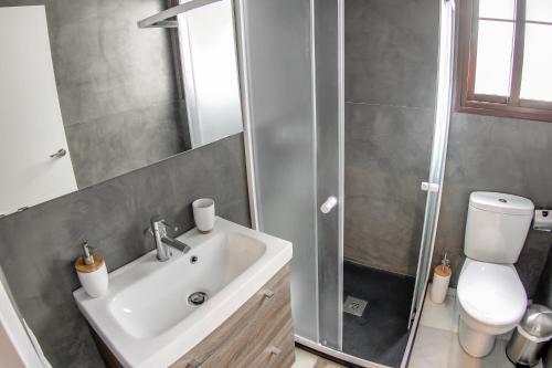 a bathroom with a sink and a shower and a toilet at Espectacular ático con terraza en Triana in Seville