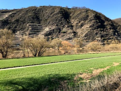 uma montanha com um campo verde à sua frente em Ferienwohnung Brinkmann 4**** mit Moselblick em Dieblich