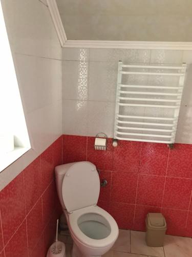 a bathroom with a white toilet and red tiles at ‘‘FOREST HOUSE ’‘ Будинок для відпочинку in Truskavets