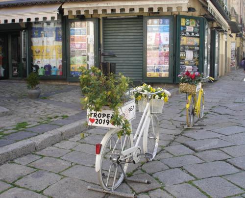 two bikes parked on a street with flowers in baskets at Villetta sul mare in Capo Vaticano