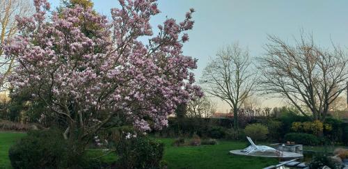 Fotografie z fotogalerie ubytování Le Mont Saint Roch , chambre d'hôtes, B&B v destinaci Nivelles