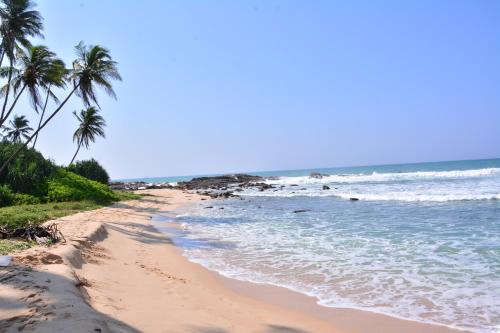 a beach with palm trees and the ocean at skyresort in Tangalle