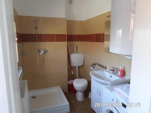a bathroom with a toilet and a shower and a sink at Rita apartman in Szombathely