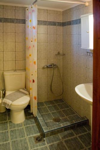 a bathroom with a shower with a toilet and a sink at Margarita Studios in Palaiochora