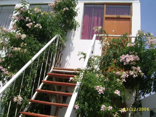 a staircase leading up to a building with flowers at Hostal Camiluz in Nazca