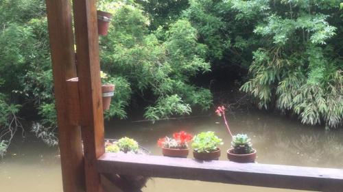 Κήπος έξω από το Cabaña en el Delta Arroyo Pajarito a 20 minutos de navegación