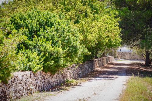 a road with trees and a stone wall at torre casciani in Ugento