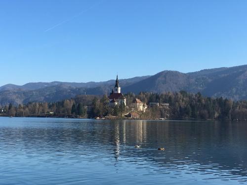 Pokrajina v okolici apartmaja