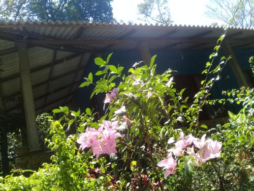 Dambulla Sun Vsh Holiday – Photos 4