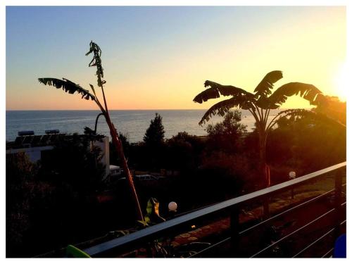 a view of the ocean from a balcony with a plant at Sea View Hotel Dhermi in Dhërmi