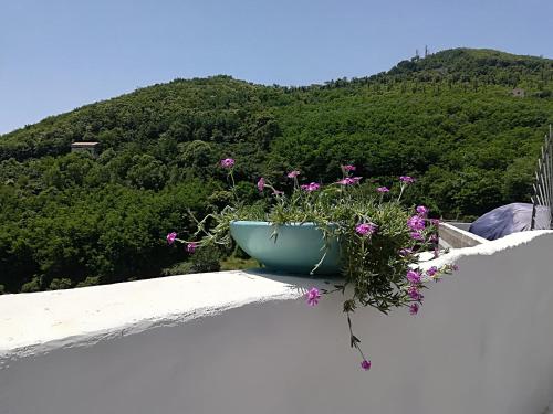 a pot of flowers sitting on a ledge with a mountain at Il Covo delle Civette in Vietri