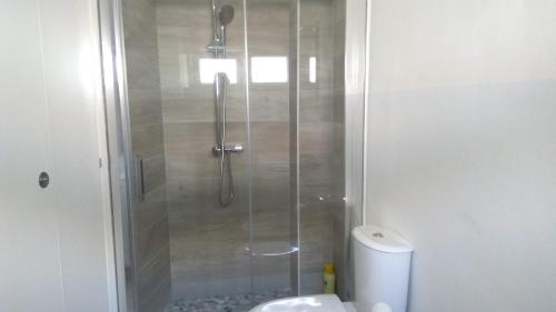 a bathroom with a shower with a sink and a toilet at Casa Azalea in Verbania