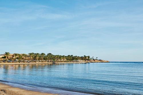 Steigenberger Coraya Beach - Adults Friendly 16 Years Plus — Beach