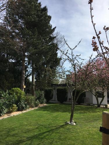Jardin de l'établissement Privat Residence - Boardinghouse Meerbusch