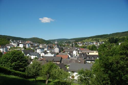 a town with houses and trees in a city at Pension Burk in Bad Endbach