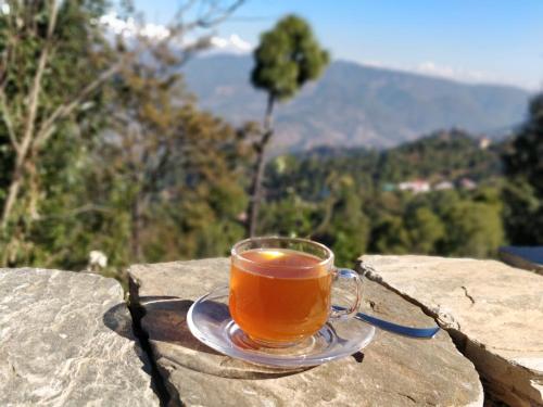 a cup of tea sitting on top of a rock at Meraki - Entire 3BHK Villa With Himalayan Views in Rānīkhet