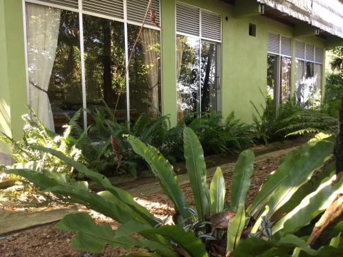 a green house with plants in front of it at Sinharaja Kurulu Ella Eco Resort in Deniyaya