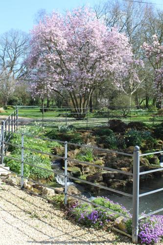 a fence in a park with a tree with pink flowers at Hewletts Mill in Castle Cary
