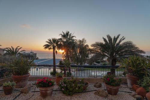 a view of a resort with palm trees and a pool at 105 Kings Palace - Fabulous 2 Bed, 2 bath, Large Patio with Garden - Sea Views in Paphos City
