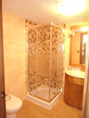 a bathroom with a shower and a toilet and a sink at Casa de Los Albas, 6p in Montefrío