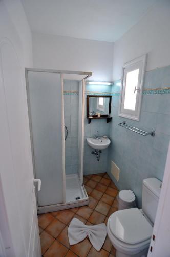 a bathroom with a shower and a toilet and a sink at Votsalo Apartments in Naousa