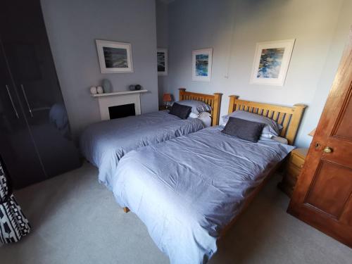 a bedroom with two beds and a fireplace at Thornham Cottage in Ivybridge