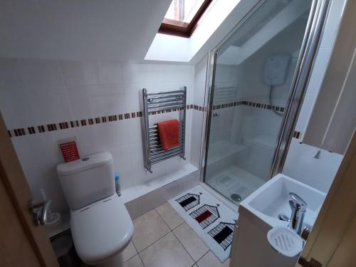 een badkamer met een toilet, een douche en een wastafel bij Thornham Cottage in Ivybridge