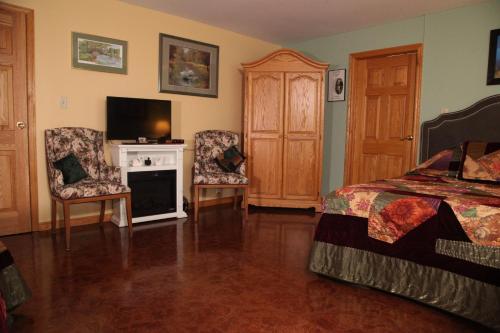 a bedroom with a bed and a fireplace and a tv at A Garden Stroll Bed & Breakfast in Stratford
