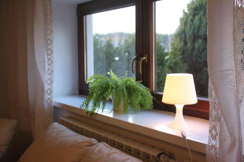 a window sill with a lamp and a plant at Dąbrowski in Nadarzyn