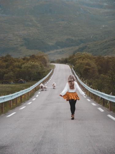 a woman walking down a road with two dogs at Solsiden Brygge Rorbuer in Ballstad