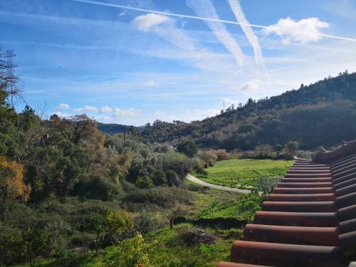 a set of stairs leading to a field with a road at Cantinho do Lucas in Alvaiázere
