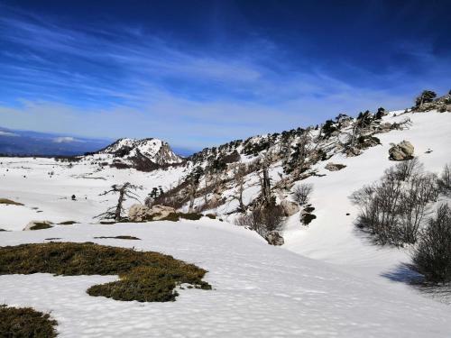 una montaña cubierta de nieve con árboles y arbustos. en B&B Le Ginestre en Viggianello