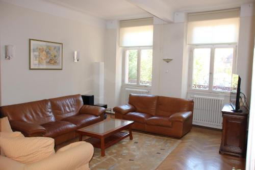 Sala de estar con 2 sofás de cuero y mesa de centro en lesboisjolis, en Colmar