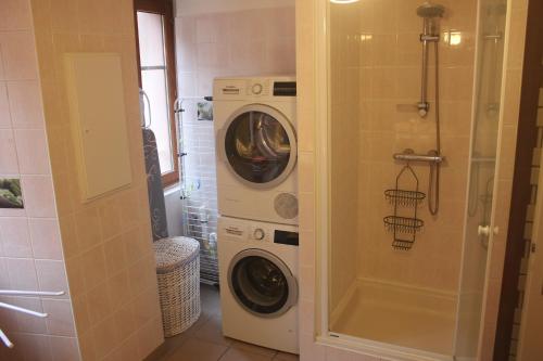 a washer and dryer in a small bathroom at lesboisjolis in Colmar