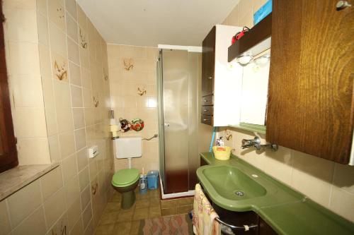 a bathroom with a green sink and a shower at Vineyard Cottage Vrbek in Roginska Gorca