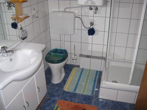 a bathroom with a sink and a toilet and a shower at Selbstversorger Hütte Rechberg in Rechberg
