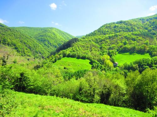 a view of a green valley with trees at Hostal Ezkurra in Ezkurra