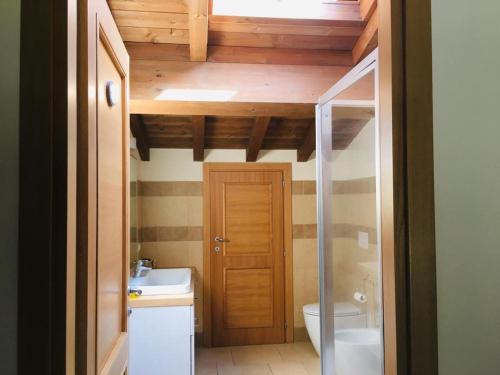 拉迪斯波利的住宿－伊利莎農舍鄉村民宿，一间带卫生间和水槽的小浴室