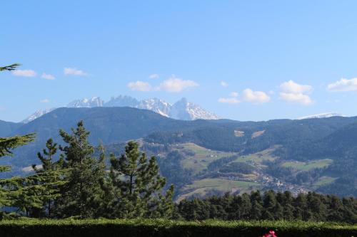 a view of a mountain range with trees in the foreground at Obereggen - Anna in Eggen