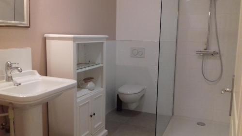 a bathroom with a shower and a toilet and a sink at Le Clos - La chapelle in Lombard