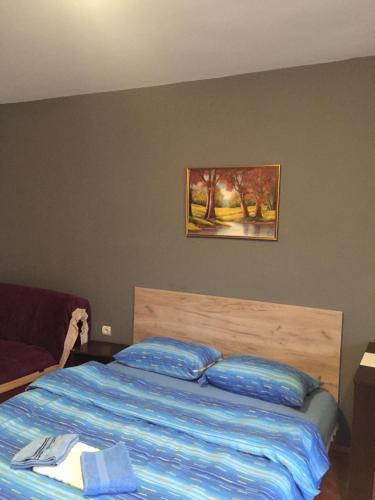 um quarto com uma cama e um quadro na parede em Apartment Viktor 2 stan na dan em Šabac