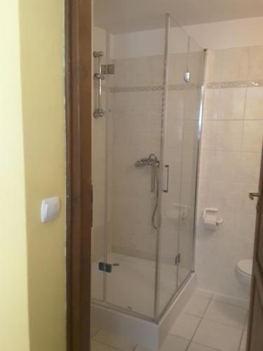 a shower with a glass door in a bathroom at Pokoje Gościnne Kaja in Kudowa-Zdrój