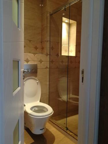a bathroom with a toilet and a glass shower at cozy,luxurious and spacious villa on the black sea in Lŭka